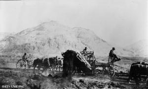 thumbnail of image