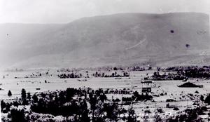 thumbnail of image