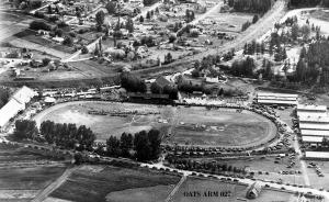 thumbnail of image