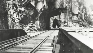 thumbnail of image
