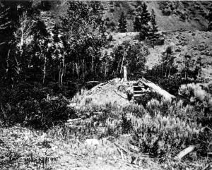 thumbnail of image