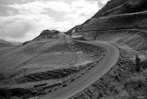 thumbnail of image