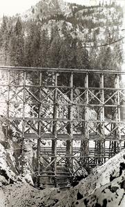 thumbnail of image