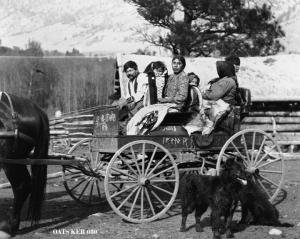 thumbnail of image