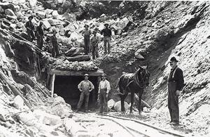 thumbnail of image