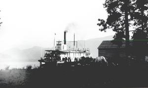 thumbnail of image