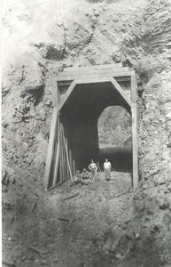 thumbnail of image