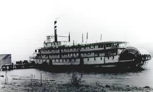 thumbnail of image
