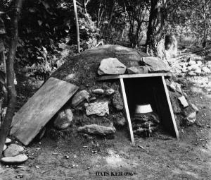 thumbnail of image