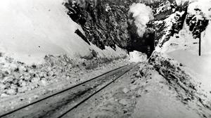 thumbnail of image