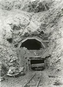 thumbnail of image