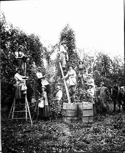 thumbnail of image