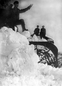 thumbnail of image