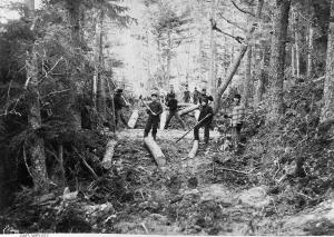 thumbnail of image