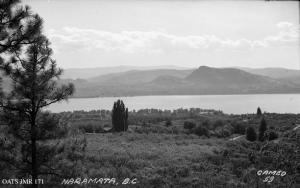 thumbnail of image