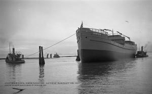 thumbnail of image