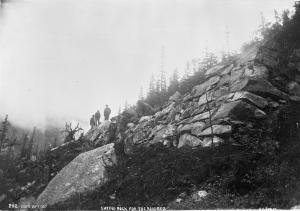 thumbnail of image