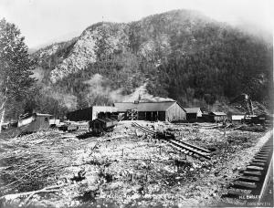 thumbnail of image