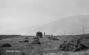 thumbnail of image