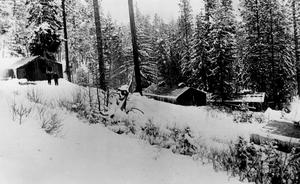 thumbnail of image