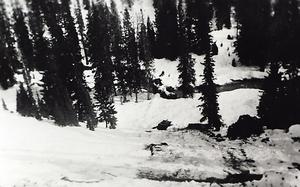 thumbnail of image