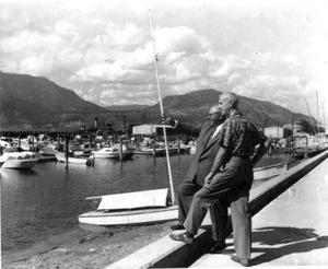 thumbnail of image