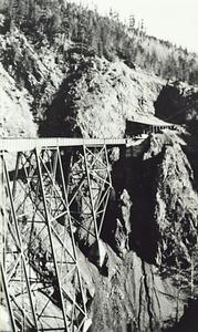 thumbnail of image