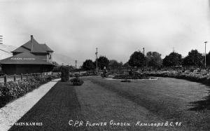 thumbnail of image