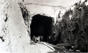 thumbnail of image