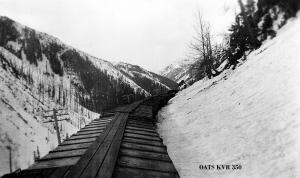 thumbnail of image