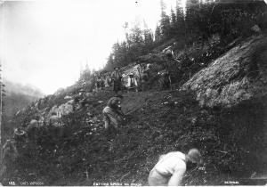 thumbnail of image