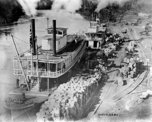 thumbnail of image