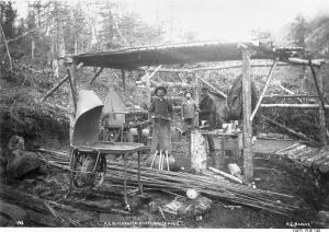 thumbnail of image
