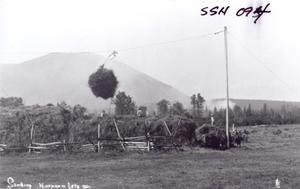 thumbnail of image