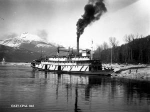 thumbnail of image