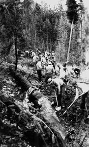 thumbnail of image