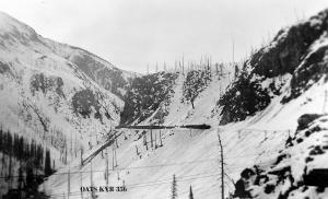 thumbnail of image