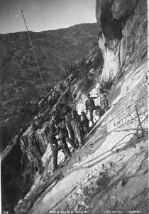 thumbnail of image