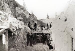 thumbnail of image