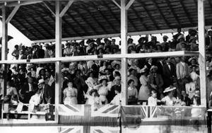 thumbnail of image
