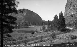 thumbnail of image