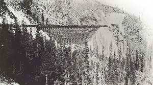 thumbnail of image