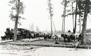 thumbnail of image