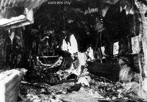 thumbnail of image