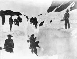 thumbnail of image