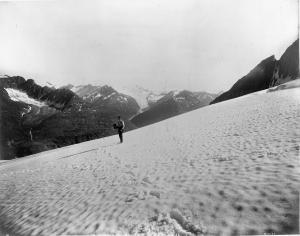 thumbnail of image