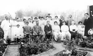 thumbnail of image