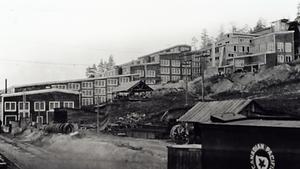 thumbnail of image