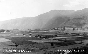 thumbnail of image