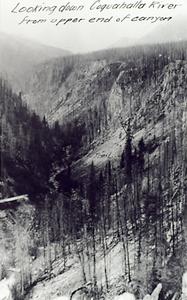 thumbnail of image